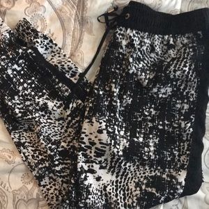 Express Jogger Style Pants